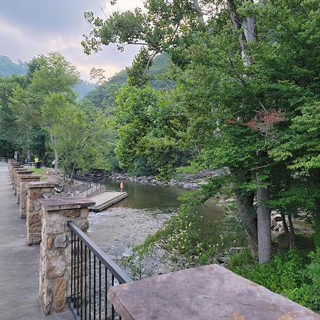 Bear Necessities, Luxury 5Bd Mtn Views, Hot Tub, Many Bear Sightings Villa Gatlinburg Bagian luar foto