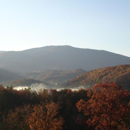 Bear Necessities, Luxury 5Bd Mtn Views, Hot Tub, Many Bear Sightings Villa Gatlinburg Bagian luar foto