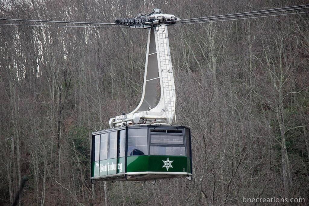 Bear Necessities, Luxury 5Bd Mtn Views, Hot Tub, Many Bear Sightings Villa Gatlinburg Bagian luar foto
