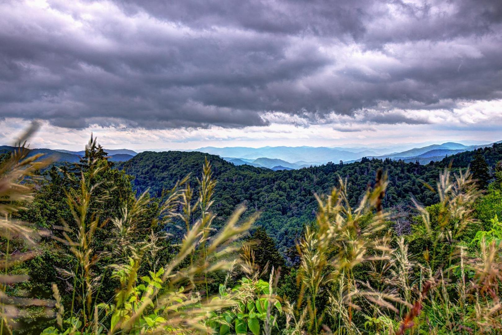 Bear Necessities, Luxury 5Bd Mtn Views, Hot Tub, Many Bear Sightings Villa Gatlinburg Bagian luar foto