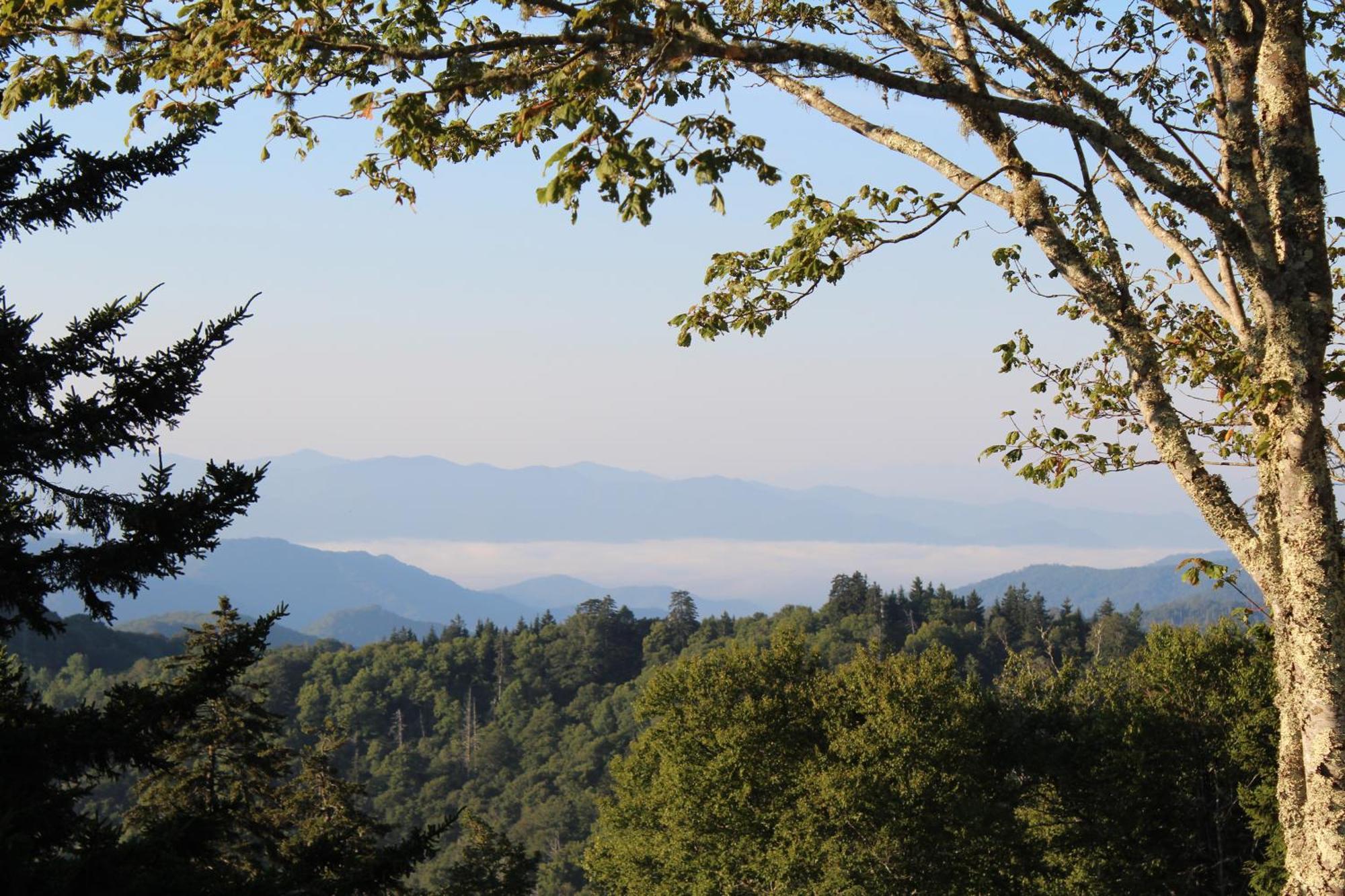 Bear Necessities, Luxury 5Bd Mtn Views, Hot Tub, Many Bear Sightings Villa Gatlinburg Bagian luar foto