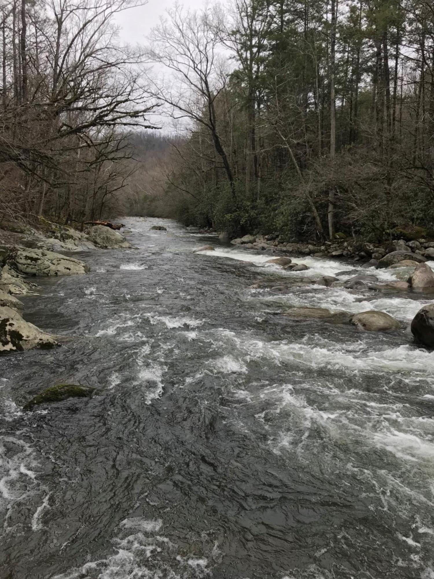 Bear Necessities, Luxury 5Bd Mtn Views, Hot Tub, Many Bear Sightings Villa Gatlinburg Bagian luar foto