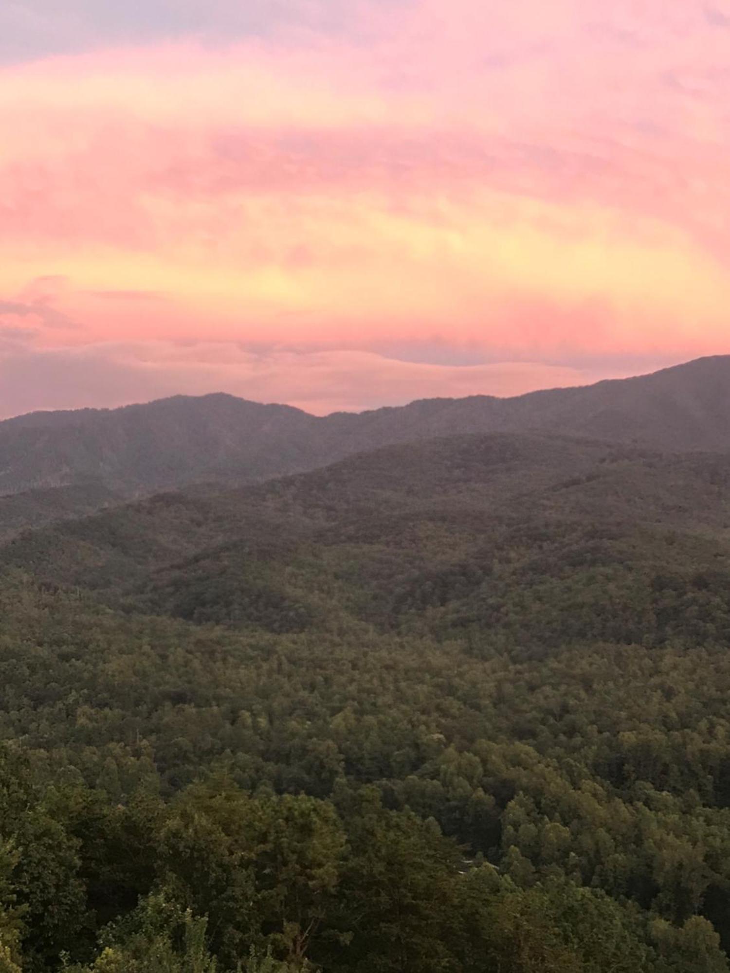 Bear Necessities, Luxury 5Bd Mtn Views, Hot Tub, Many Bear Sightings Villa Gatlinburg Bagian luar foto