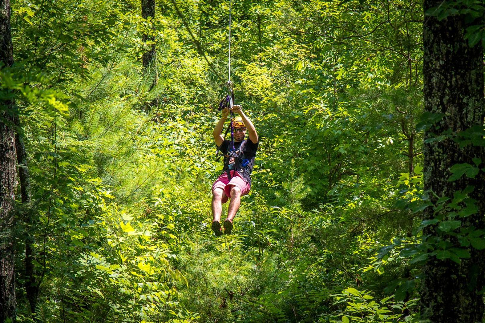 Bear Necessities, Luxury 5Bd Mtn Views, Hot Tub, Many Bear Sightings Villa Gatlinburg Bagian luar foto