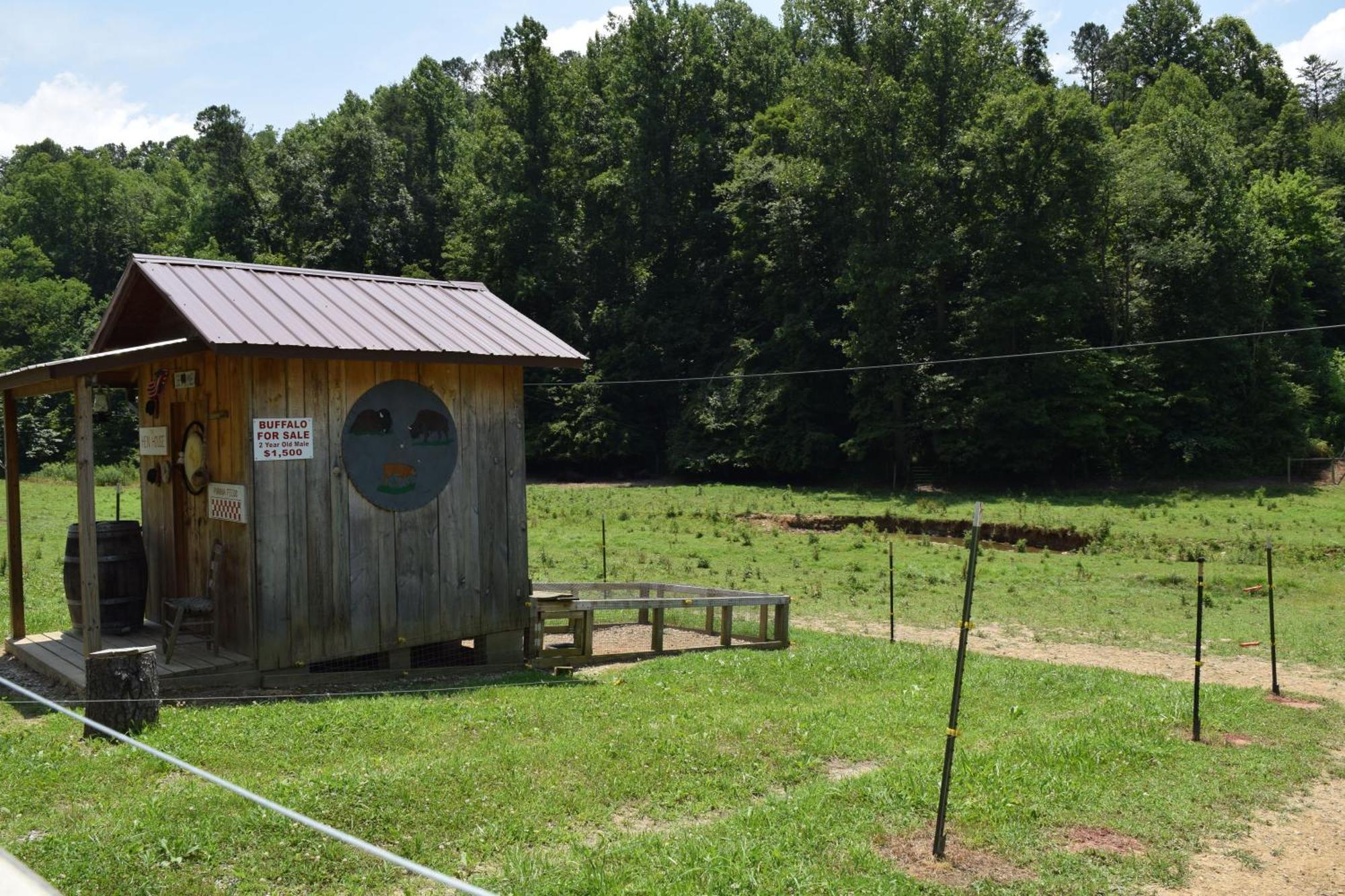 Bear Necessities, Luxury 5Bd Mtn Views, Hot Tub, Many Bear Sightings Villa Gatlinburg Bagian luar foto